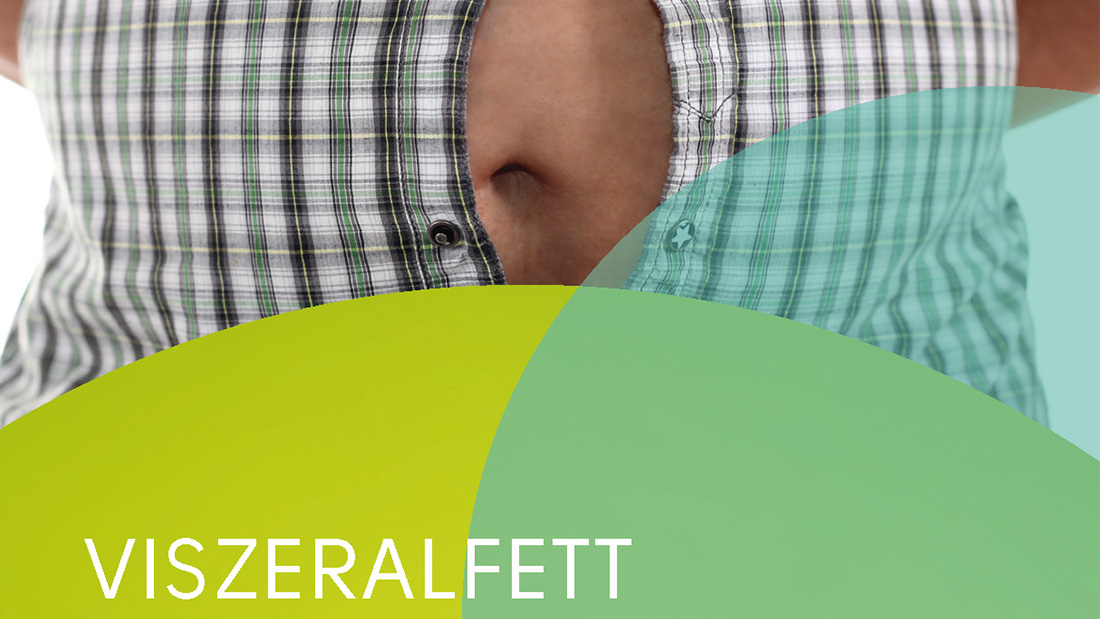 Flyer Viszeralfett